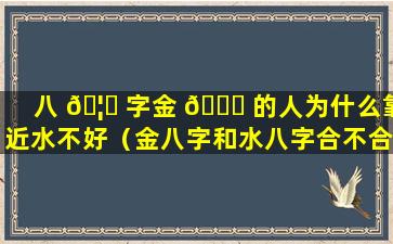 八 🦈 字金 💐 的人为什么靠近水不好（金八字和水八字合不合）